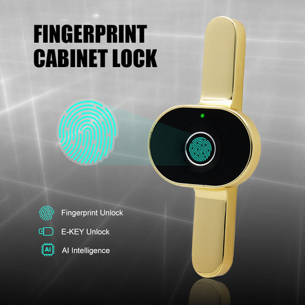 Smart Biometric Cabinet Fingerprint Lock