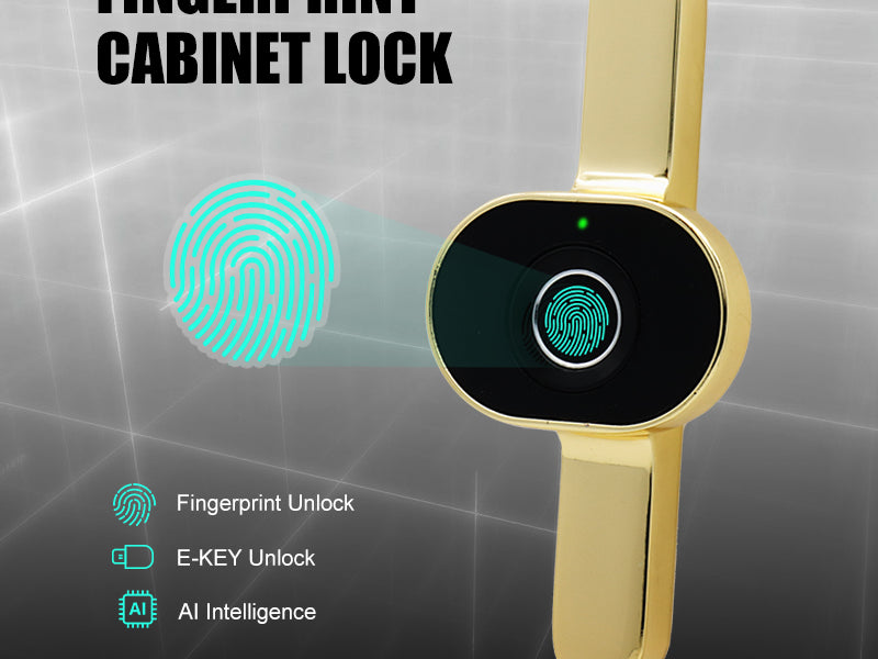 Smart Security & Electronic Locks