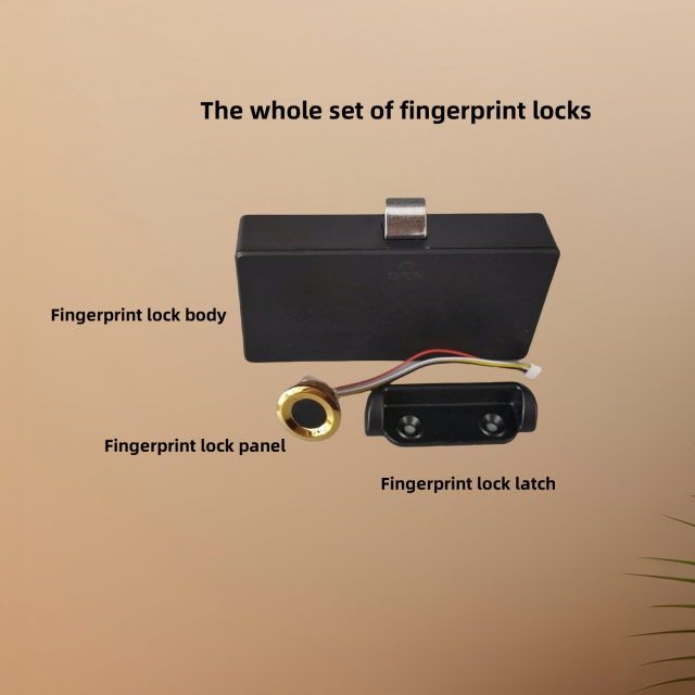 Universal Biometric Fingerprint Furniture Lock